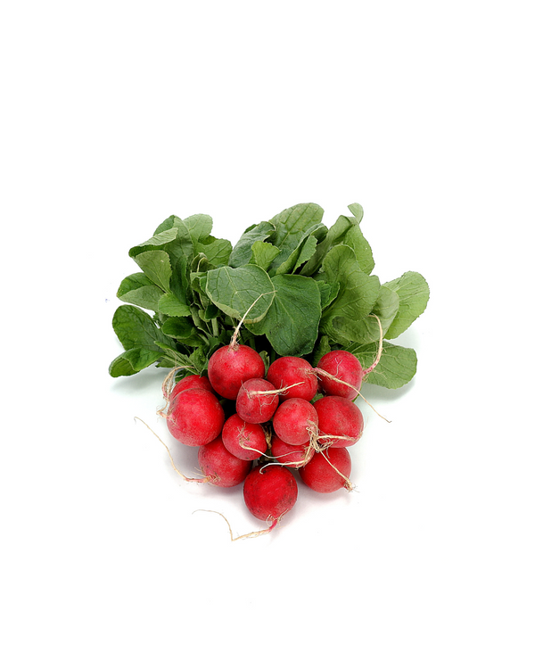 Radish Bundle