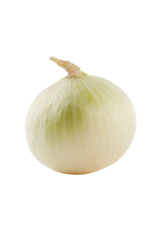 White Onion Large (Each)