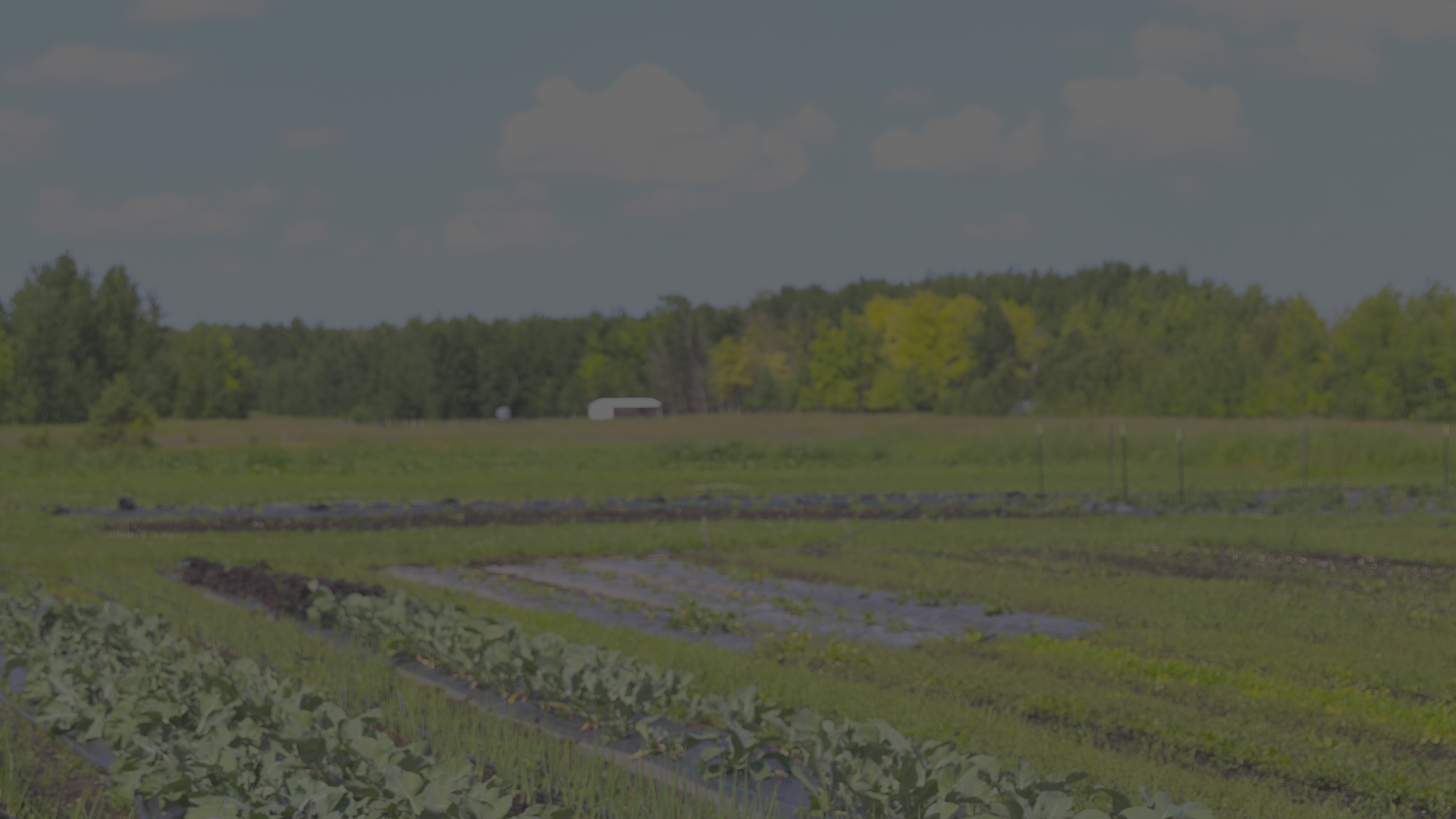 Lettuce Reintroduce Ourselves - We’re digging deep to bring you something fresh. Sign up for our emails and you’ll be the first to know when we sprout back up.