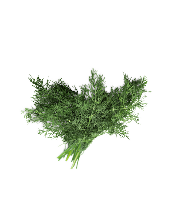 Dill Bundles