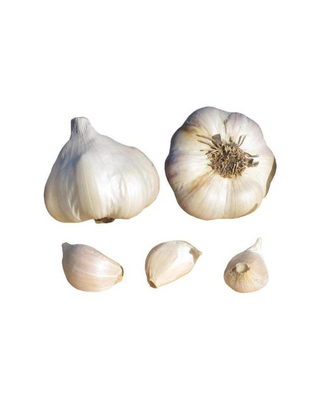 Soft Neck Local Garlic Bulbs
