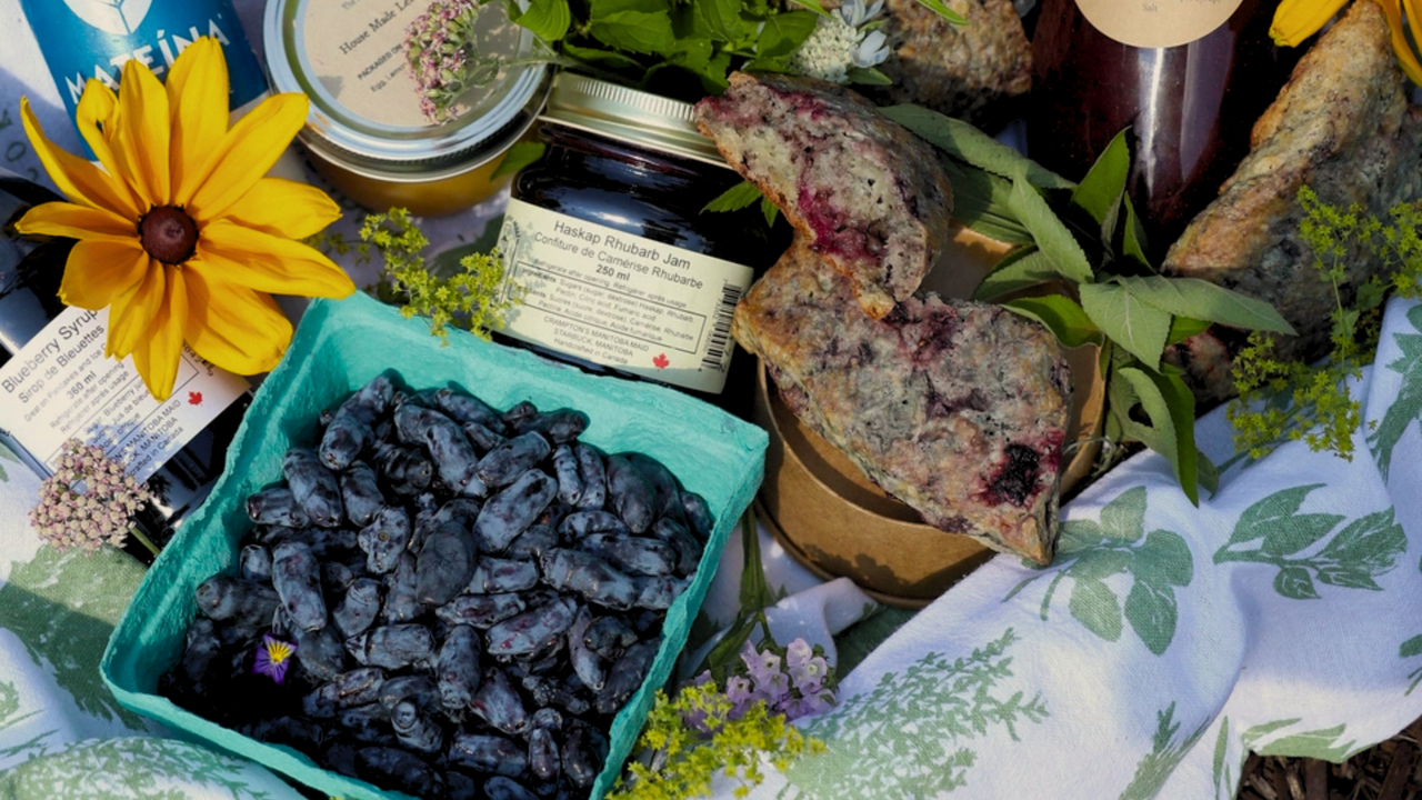 The Healing Power of Food: Why We Love Haskap Berries