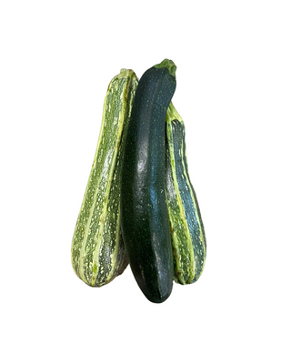 Zucchini