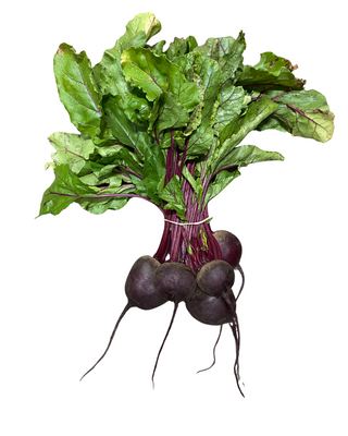 Oak Knoll Farm Beet Bunch