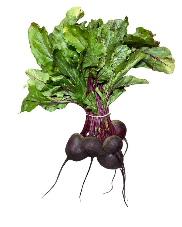 Oak Knoll Farm Beet Bunch