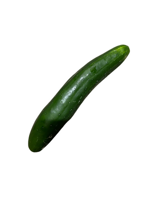 Slicer Cucumber