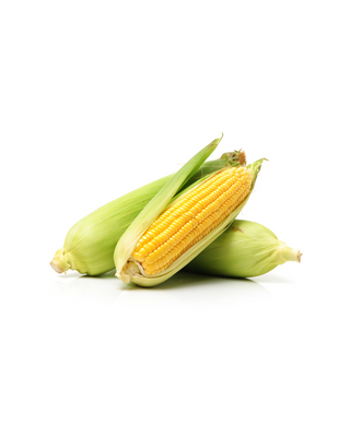 Corn on the Cob Dozen
