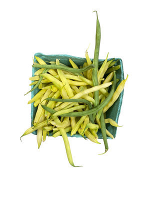 Bean Quart