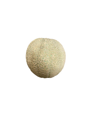 Wild Earth Farms Cantaloup