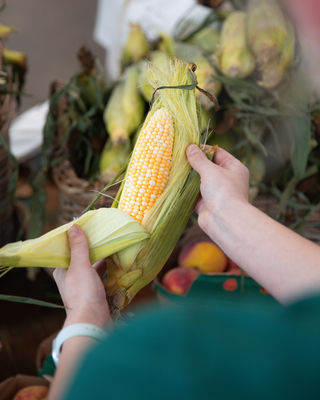 Corn on the Cob - Per Cob