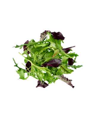Oak Knoll Farm Mixed Lettuce