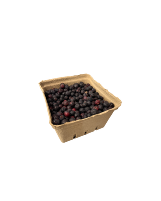 Saskatoon Quart