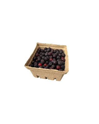 Saskatoons Pint
