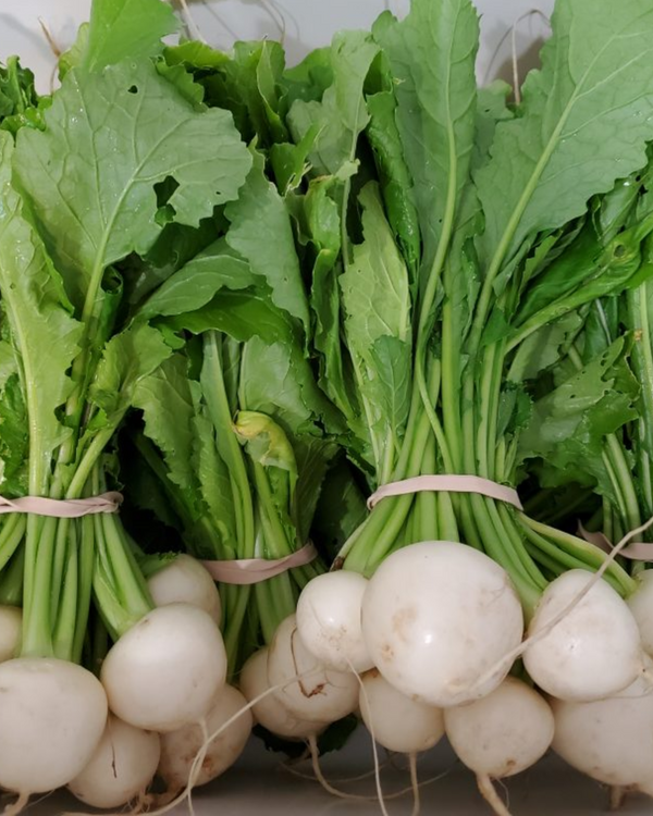 Harekei Turnips