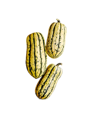 Delicata Squash