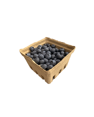 BC Blueberry Pints