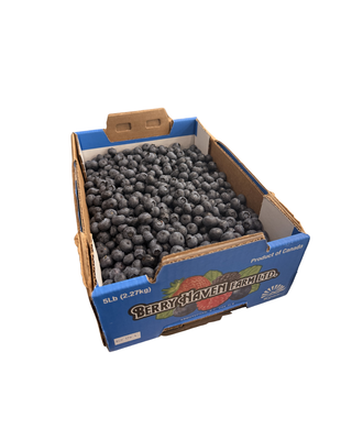 BC Blueberry Case