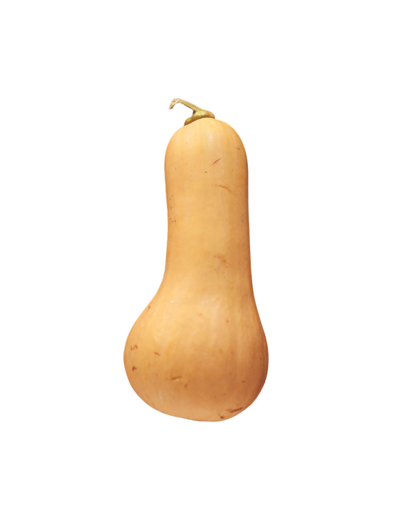 Butternut Squash