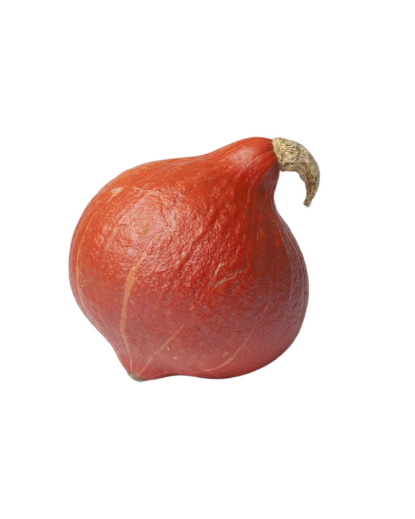 Kuri Squash