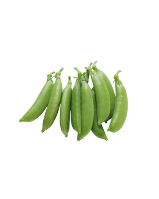 Oak Knoll Farm Snap Peas