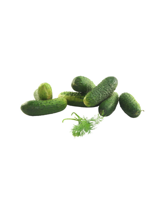 Pickling Cucumbers