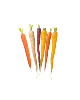 Organic Rainbow Carrots