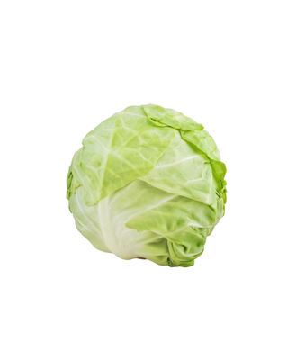 Green Cabbage