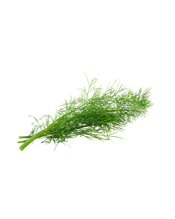 Dill