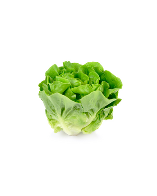 Butter Lettuce Heads