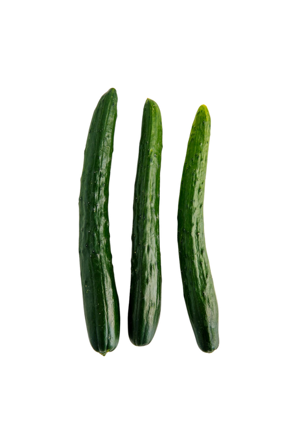 Japanese long cucumber