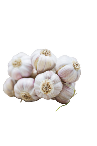 Local Garlic Bulbs