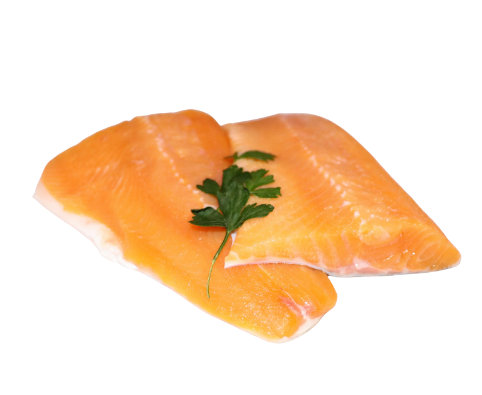 Arctic Char