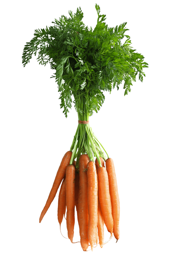 Oak Knoll Carrots with Greens Bundle