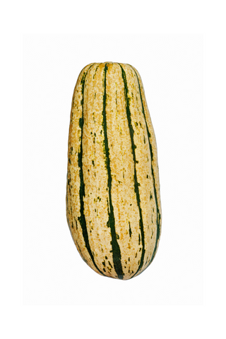 Delicata Squash