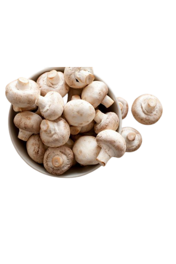 Mushrooms Manitoba